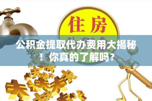新巴尔虎右旗公积金提取代办费用大揭秘！你真的了解吗？